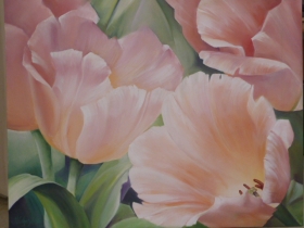 tulipes
